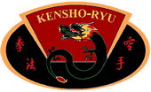 KSR Ultimate Martial Arts Port Orange